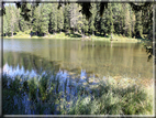 foto Lago di Antorno